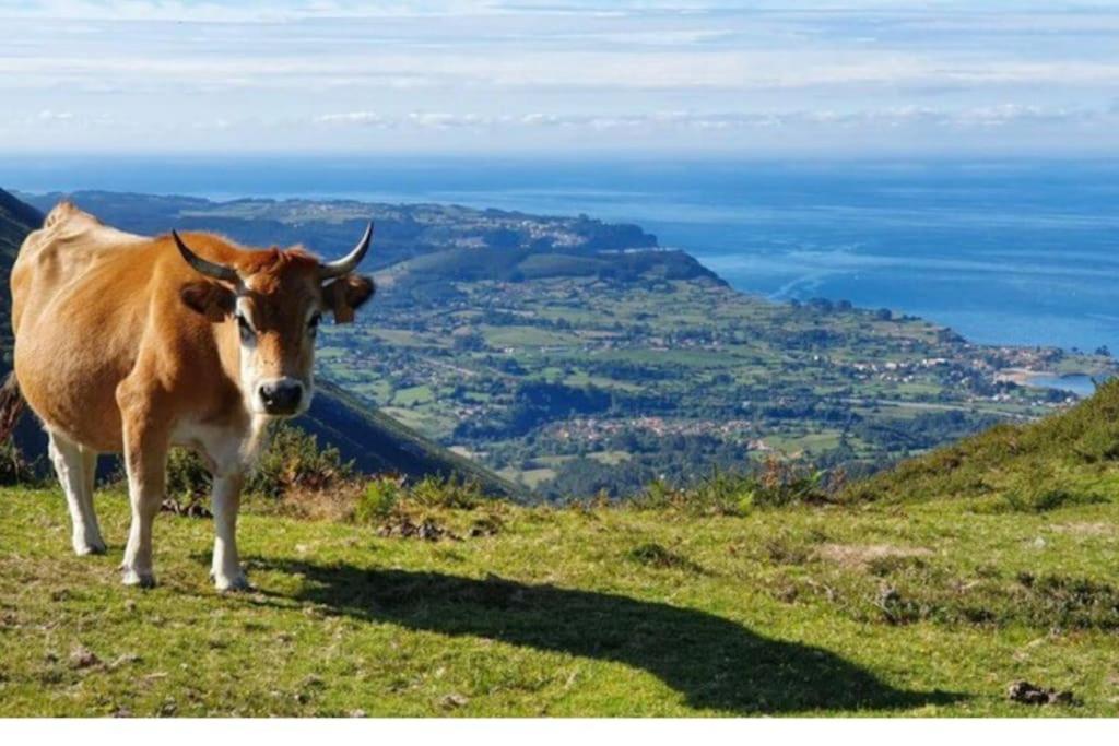 Casa Todah, Playas Y Montanas Duesos Eksteriør billede